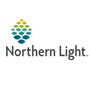 northern light logo