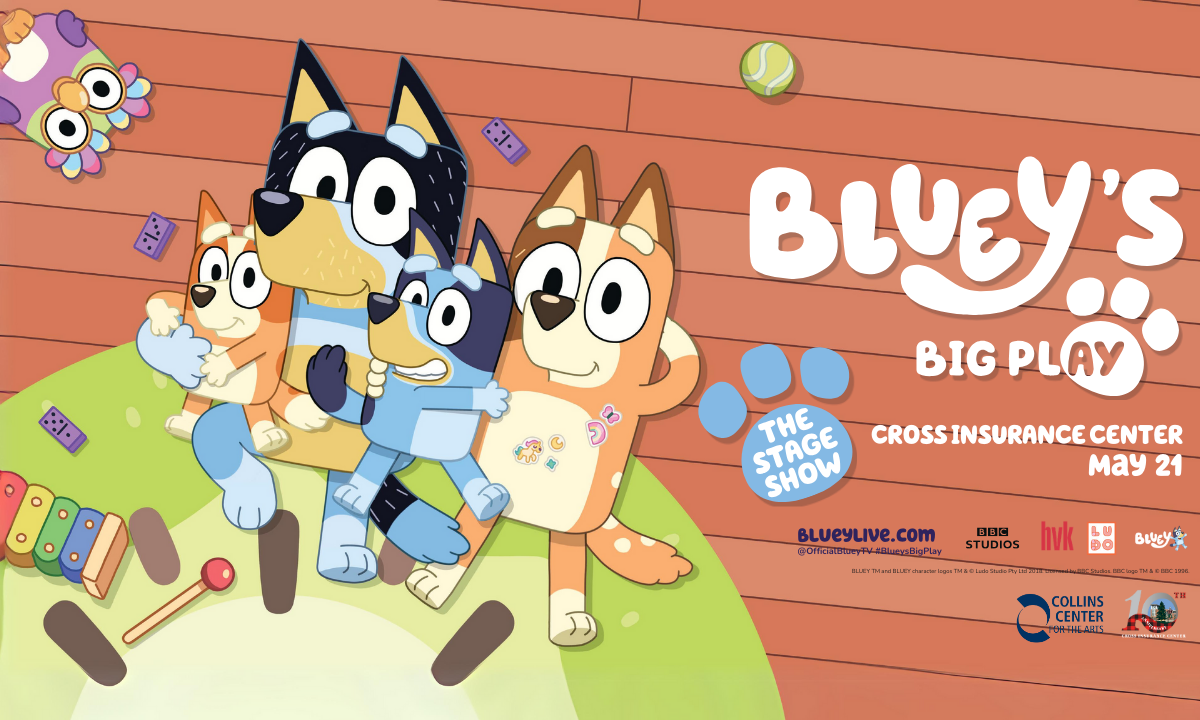 BLUEY B.BOX COLLECTION - Bluey Official Website