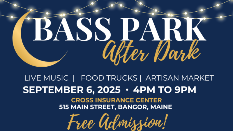 Bass Park After Dark