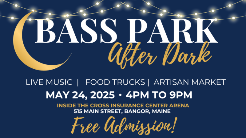 Bass Park After Dark