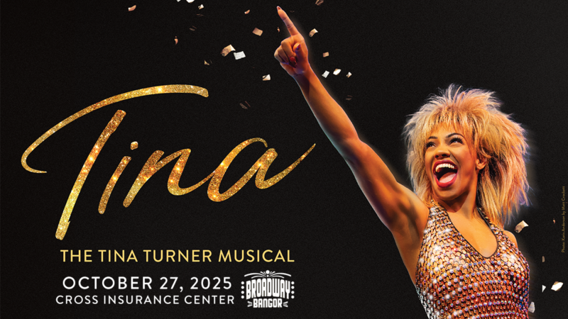 TINA–The Tina Turner Musical