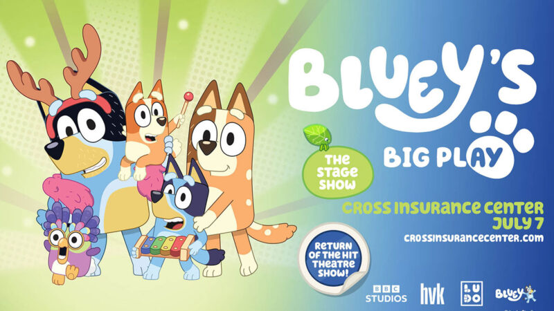 Bluey’s Big Play